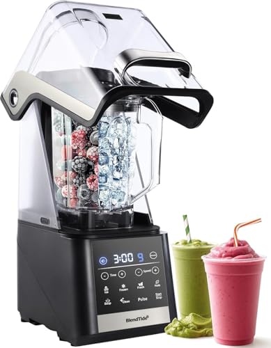 Best 10 Vacuum Blender